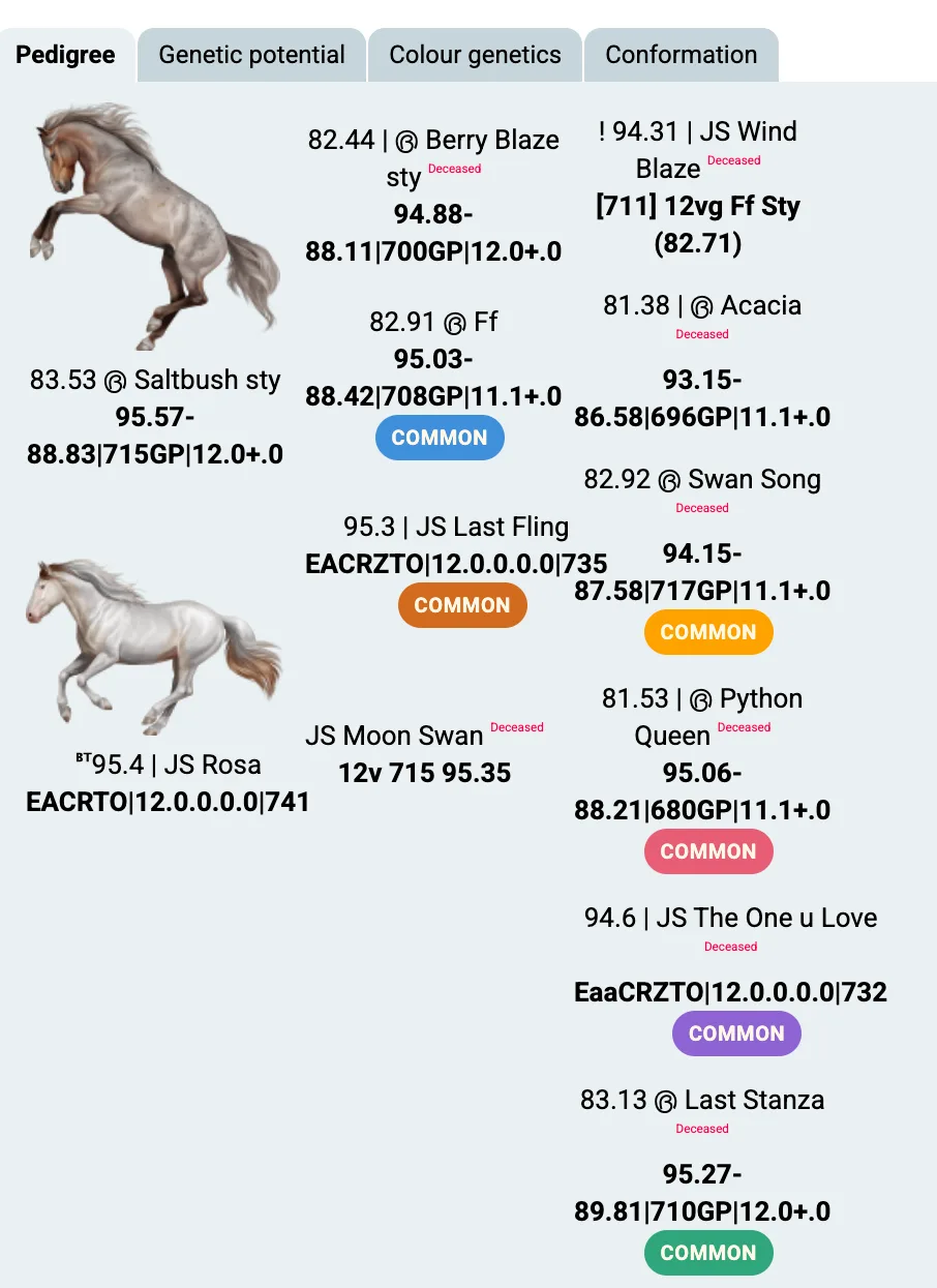 Common ancestors shown on the breeding view on HR under the pedigree tab.