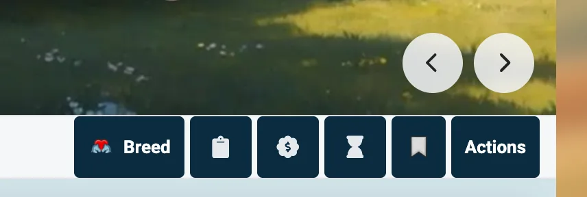 The action bar with the clipboard, sell, and age button enabled.